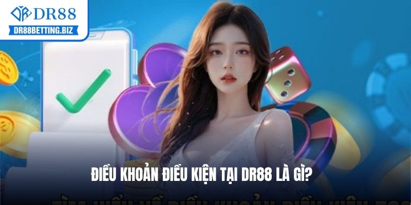 Điều khoản điều kiện hỗ trợ hội viên sử dụng dịch vụ đúng cách 