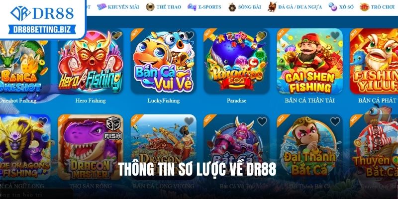 Thông tin sơ lược về dr88