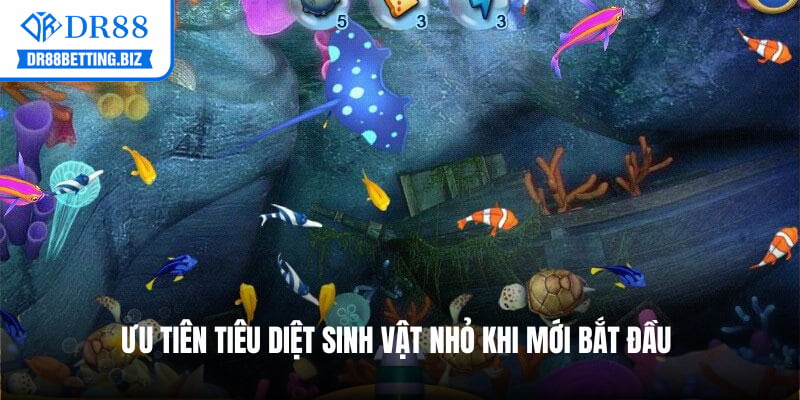 Tập trung hoả lực khi quan sát thấy lợi thế