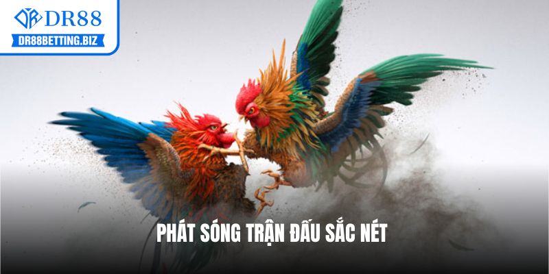 Phát sóng trận đấu sắc nét